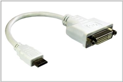 Adapter Mini HDMI han til DVI hun 0,20m